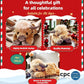 🐂🎁Χαριτωμένο παιχνίδι σε σχήμα αγελάδας των Χάιλαντς